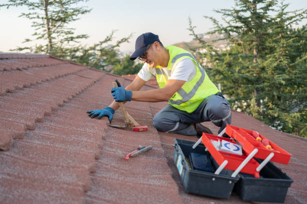 Roof Gutter Cleaning in Clarksburg, WV